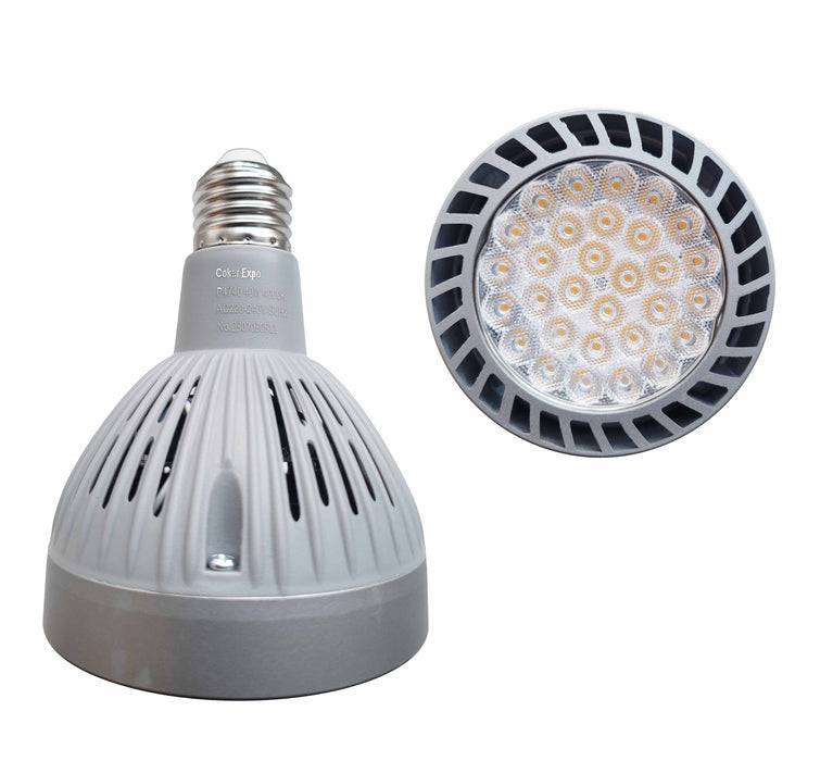 40 W LED Flood lamp 4000K E27 CokerExpo