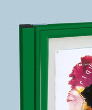 30mm deep painted display case with posts for exterior use