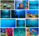 vector images for wallpaper
